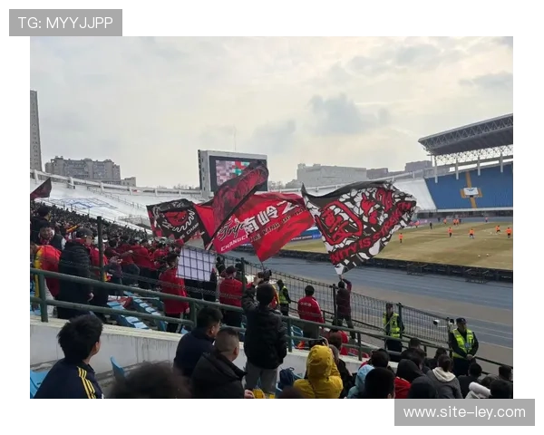 长春亚泰重返传统主场 长春体育场焕发浓厚球迷氛围