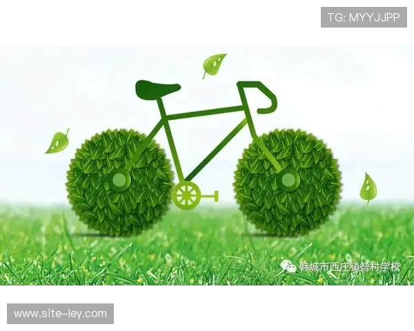 碳积分账户链接绿色出行，激励观众选择公共交通观赛