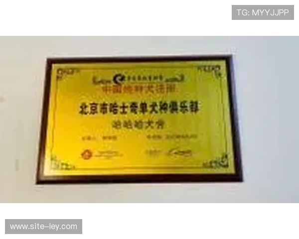 电子门票与虚拟纪念品减少赛事相关实物浪费