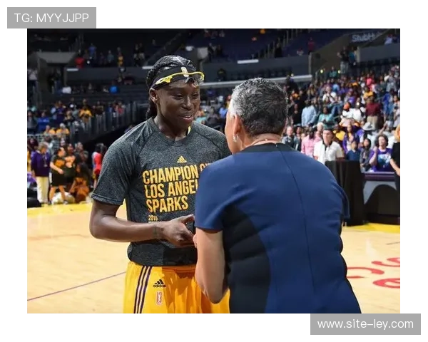 洛杉矶火花队引入凯尔西·普拉姆，上赛季胜场数显著提升